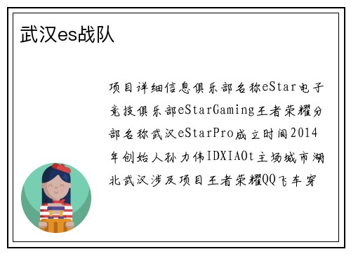 武汉es战队